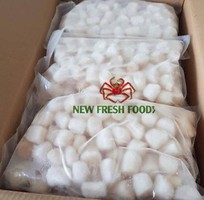 4 Cồi Sò Điệp Việt Nam - New Fresh Foods