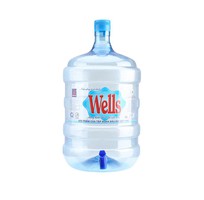 Nước uống tinh khiết Wells bình 19L tại Vũng Tàu