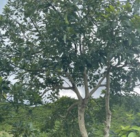 725 Cần tuyển phụ bán hàng cùng 725 Cần tuyển phụ bán hàng cùng