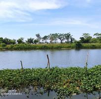 876 Cần tuyển phụ bán hàng cùng 876 Cần tuyển phụ bán hàng cùng