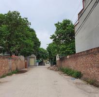 481 Cần tuyển phụ bán hàng cùng 481 Cần tuyển phụ bán hàng cùng