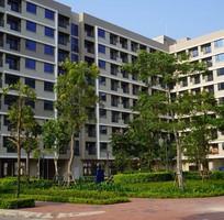 1116 Cần tuyển phụ bán hàng cùng 1116 Cần tuyển phụ bán hàng cùng