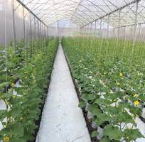 382 Cần tuyển phụ bán hàng cùng 382 Cần tuyển phụ bán hàng cùng