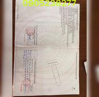 1175 Cần tuyển phụ bán hàng cùng 1175 Cần tuyển phụ bán hàng cùng