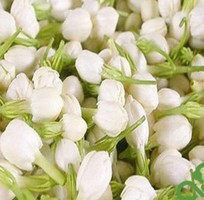 1098 Cần tuyển phụ bán hàng cùng 1098 Cần tuyển phụ bán hàng cùng