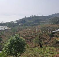 1508 Cần tuyển phụ bán hàng cùng 1508 Cần tuyển phụ bán hàng cùng