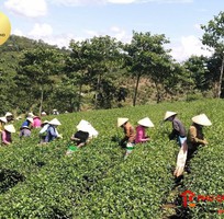 228 Cần tuyển phụ bán hàng cùng 228 Cần tuyển phụ bán hàng cùng