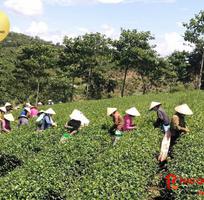 249 Cần tuyển phụ bán hàng cùng 249 Cần tuyển phụ bán hàng cùng