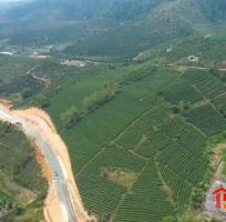 317 Cần tuyển phụ bán hàng cùng 317 Cần tuyển phụ bán hàng cùng