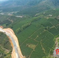 250 Cần tuyển phụ bán hàng cùng 250 Cần tuyển phụ bán hàng cùng