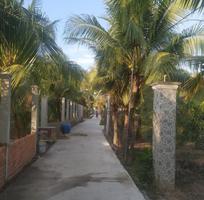 1557 Cần tuyển phụ bán hàng cùng 1557 Cần tuyển phụ bán hàng cùng