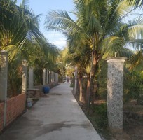 1515 Cần tuyển phụ bán hàng cùng 1515 Cần tuyển phụ bán hàng cùng