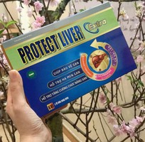 Protect Liver - Bồi bổ gan, hạ men gan