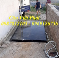 Cân điện tử Việt Phát , cân gia súc, cân động vật, cân trâu, cân bò