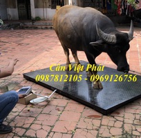 5 Cân điện tử Việt Phát , cân gia súc, cân động vật, cân trâu, cân bò