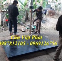 6 Cân điện tử Việt Phát , cân gia súc, cân động vật, cân trâu, cân bò