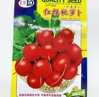 Hạt giống củ cải đỏ Cherry tròn nhập khẩu Đài Loan HGNK007