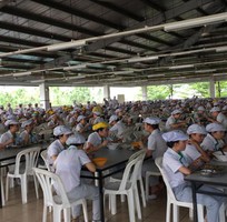 3 Tuyển Lao Động Phổ Thông Làm Thời Vụ Thu Nhập Cao