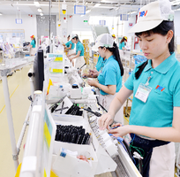 Tuyển Lao Động Phổ Thông Làm Thời Vụ Thu Nhập Cao