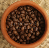 2 Phân phối cafe nguyên chất rang mộc cho quán tại Cà Mau