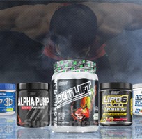 Thực phẩm thể hình Nha Trang ở đâu bán uy tín   - Alpha Supplements