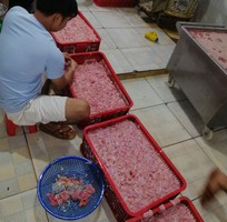 1 Hợp tác phân phối sản phẩm Bao tử cá Basa thương hiệu Ngọc Châu Foods