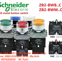 Chuyên bán nút bấm ZB5AA136, ZB4RTA Schneider cho cửa tự động