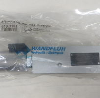 Wandfluh tại việt nam/Wandfluh giá tốt/nhà cung cấp van điện từ Wandfhul tại vietnam