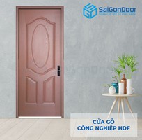 6 Cửa gỗ HDF cao cấp