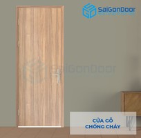 13 Cửa chống cháy 60/70/90/120 phút