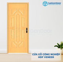 3 Top cửa gỗ công nghiệp HDF veneer