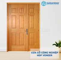 6 Top cửa gỗ công nghiệp HDF veneer