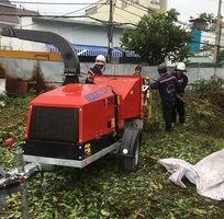 10 Máy nghiền cây di động
