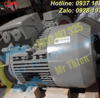 4 Y3PE-100LB4B5 , Moll-Motor Vietnam , Động cơ điện 3kW , Motor IE3 ,