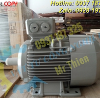 5 Y3PE-100LB4B5 , Moll-Motor Vietnam , Động cơ điện 3kW , Motor IE3 ,