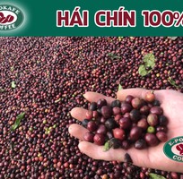 1 Cafe rang xay nguyên chất ở Long Khánh