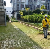1 Dịch vụ cắt cỏ - Phát Hoang cỏ dại - Cắt tỉa cây cảnh