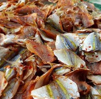 1 Cá Ngân Chỉ Vàng