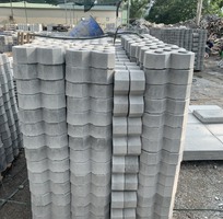 2 Gạch block trồng cỏ 8 lỗ mặt bóng