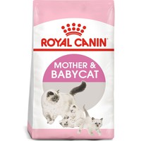 Tổng hợp các loại thức ăn cho mèo Royal Canin