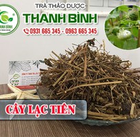 Tác dụng của cây lạc tiên trong chữa bệnh