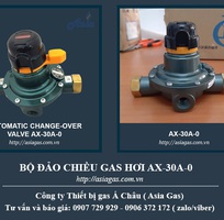 2 Bộ đảo gas hơi 30kg/h AX-30A-0