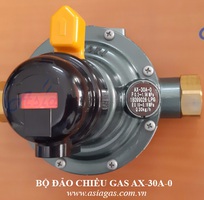 1 Bộ đảo gas hơi 30kg/h AX-30A-0