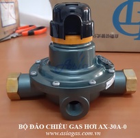 Bộ đảo gas hơi 30kg/h AX-30A-0