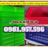 2 Khay nhựa lỗ, khay nhựa hở, sóng nhựa rỗng 2T5