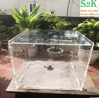 6 S2K Acrylic, Chuyên cung cấp các sản phẩm mica cao cấp: Bể Cá, Hồ cá mini, tank acrylic...