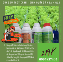 13 Dụng cụ trồng rau thủy canh