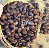 Cung cấp và phân phối cà phê hạt nguyên chẩt cho đại lý tại Bình Định