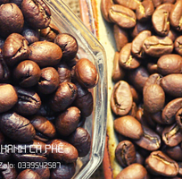 1 Cung cấp và phân phối cà phê hạt nguyên chẩt cho đại lý tại Bình Định