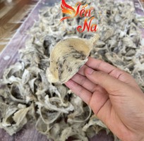 2 Mua yến sào ở đâu giá rẻ mà chất lượng tốt tại phố Hồ Chí Minh